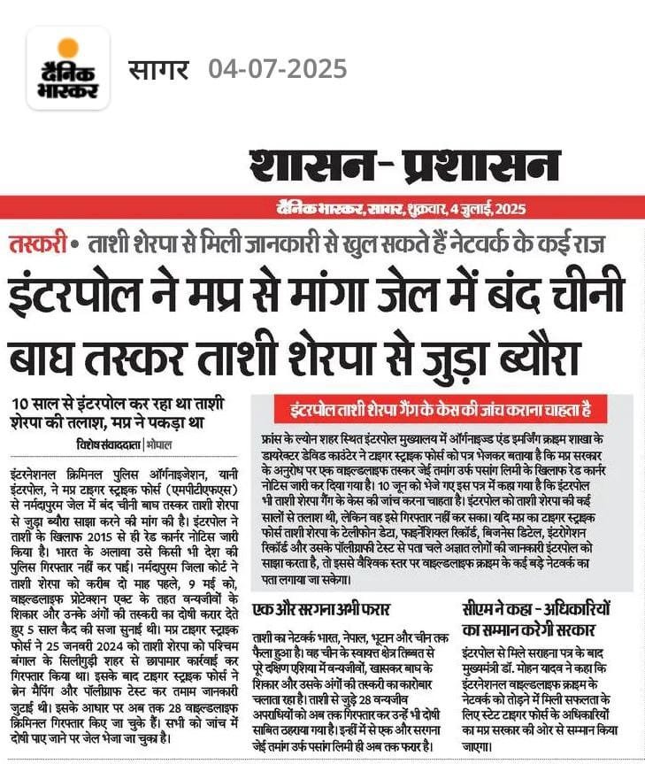 इंटरपोल ने मप्र से मांगा जेल में बंद चीनी बाघ तस्कर ताशी शेरपा से जुड़ा ब्यौरा