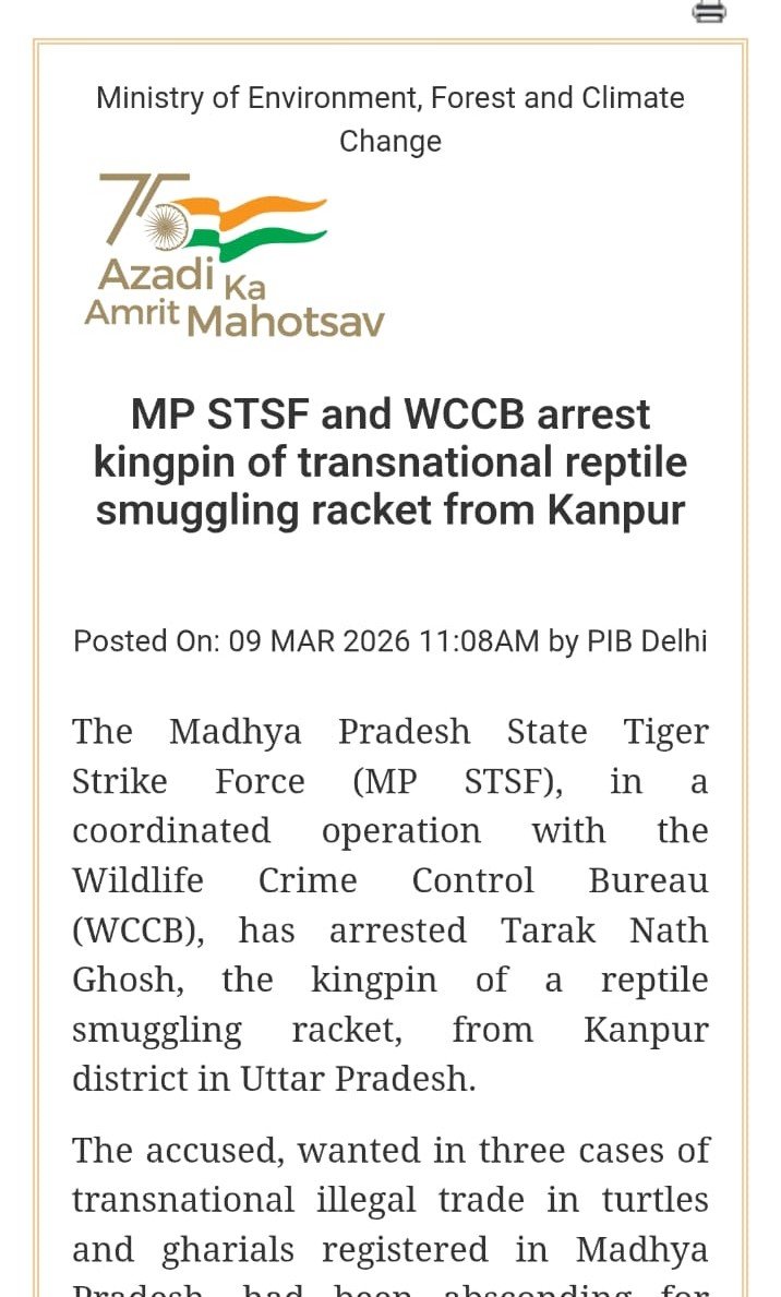 MP STSF and WCCB arrest kingpin of transnational reptile smuggling racket from Kanpur